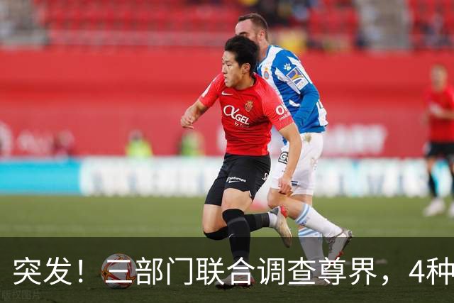 突发！三部门联合调查尊界，4种"可能性"和2个"规范性"